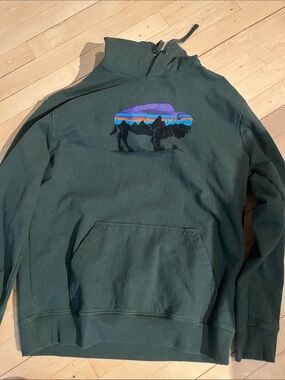 Patagonia Dark Green hoodie  Sweatshirt with Colorful Buffalo Graphic